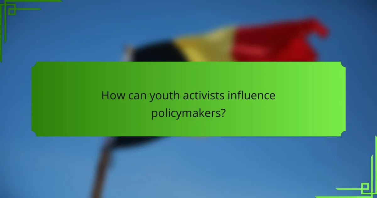 How can youth activists influence policymakers?