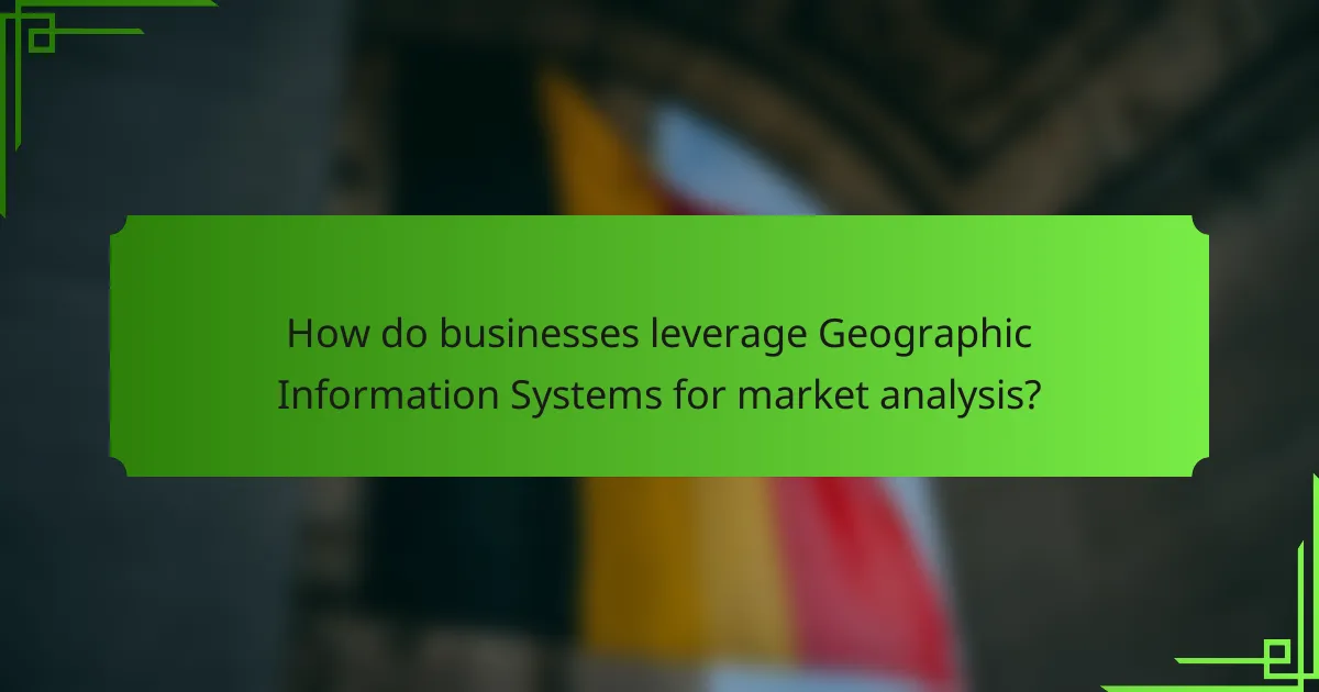 How do businesses leverage Geographic Information Systems for market analysis?