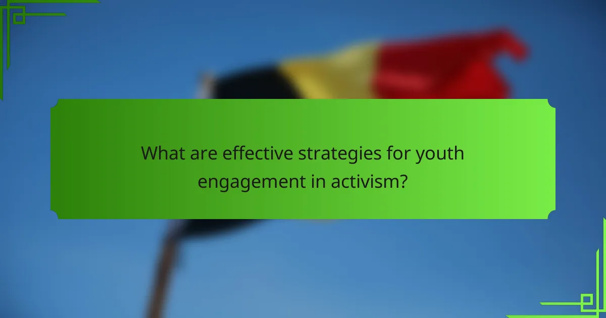 What are effective strategies for youth engagement in activism?