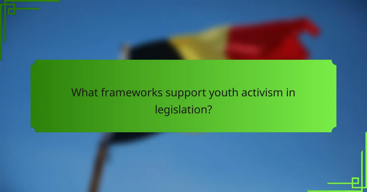 What frameworks support youth activism in legislation?